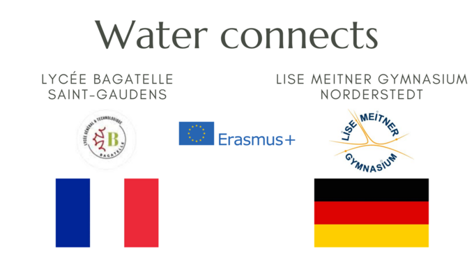 Page d'accueil article.png