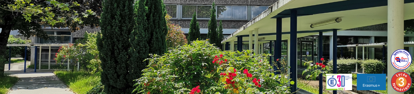 Banner bagatelle (2) océane.png